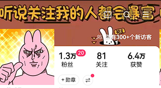 1.3w+, 实名，5倍点赞比, 6.7成女粉，31-40岁以上粉丝较多, 无违规，磁力万合盈利中