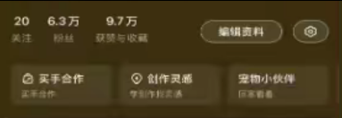 6.3w+, 实名，1.5倍点赞比, 85%女粉，<18岁粉丝较多,上海&北京，游戏&二次元，无违规